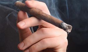 2026中国烟草包装产业链调研及招商策略