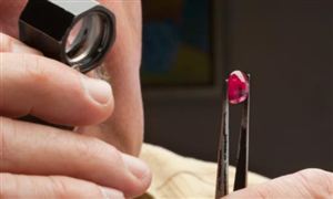 周易2014年生肖运势