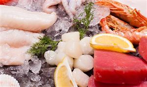 2026年中国冷链箱行业发展现状与投资机会分析