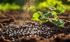 2026氮肥行业市场深度调查及未来趋势预测