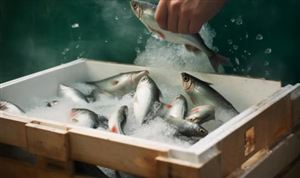 2026年中国冷链物流行业深度调研及投资前景预测