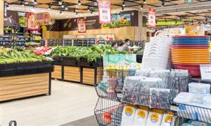 2026年批发零售产业政府战略管理与区域发展战略研究咨询