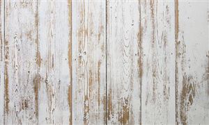 2026中国漆包线行业发展市场规模与趋势深度剖析