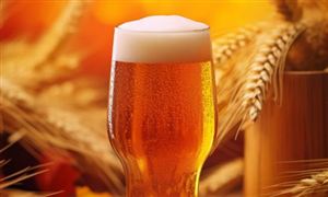 2026精酿啤酒行业现状、竞争格局、消费趋势分析