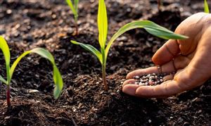 2026年中国环保肥料行业发展现状分析及市场前景与趋势展望