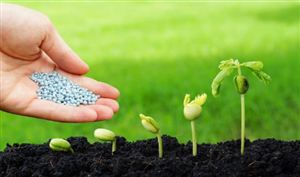 化肥行业市场格局及未来发展趋势分析