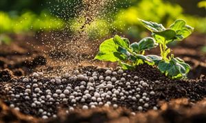 2026磷肥行业发展现状及市场需求、未来前景分析