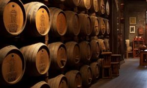 中国白酒零售行业全景调研与发展前景分析