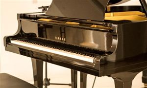 2026钢琴行业深度调研及区域市场、未来趋势分析