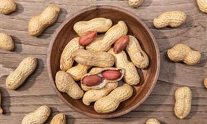 2026花生行业市场分析：增长中的结构分化与区域差异