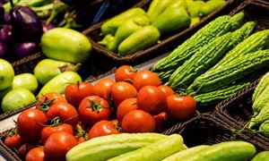 招蔬菜装卸工300一天