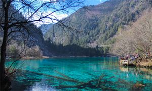 四川电视台文化旅游频道