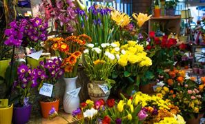 2026花店行业现状及竞争格局、未来发展前景分析