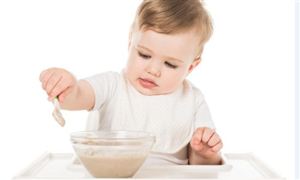 2026年中国婴儿食品行业发展现状、市场结构特征及未来前景深度研究