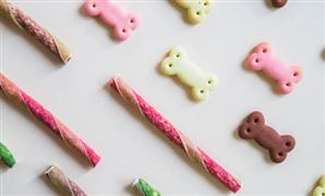 2026年中国宠物食品行业市场现状分析及发展前景预测