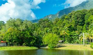 2026年主题公园行业发展现状分析及风险投资态势分析