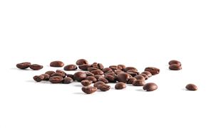 2026-2030年中国板栗行业发展前景及投资风险预测分析