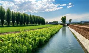 注册化工工程师报考条件