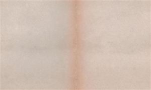 2026单光纸行业发展现状与产业链分析