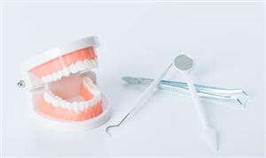 口腔护理行业现状与发展趋势分析(2026年)