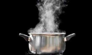 2026年中国电蒸锅行业深度观察：从高速增长迈向高质量发展的“蒸”时代