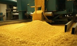 2026年中国混合饲料行业市场现状分析及发展前景与趋势展望