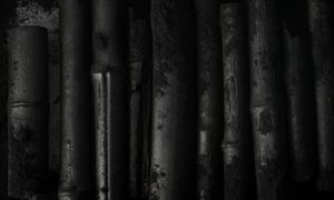 2026中国竹炭纤维产业市场：从“小众”到“主流”的蜕变