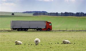 2026年中国农村物流：从毛细血管到经济大动脉的质变跃迁