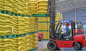 农资超市行业2026：从渠道变革到服务生态的价值跃迁