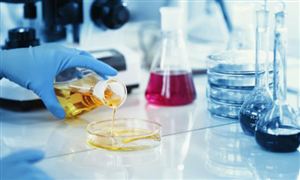 2026年中国混合油行业现状分析与未来发展趋势预测