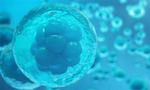 干细胞医疗行业现状与发展趋势分析(2026年)