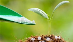 2026年中国氮肥行业发展现状分析及未来趋势与前景展望