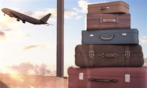 箱包行业现状与发展趋势分析(2026年)