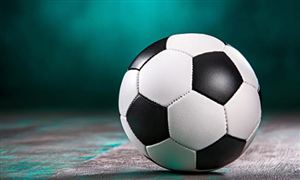 2026体育器材行业深度调研及未来发展前景