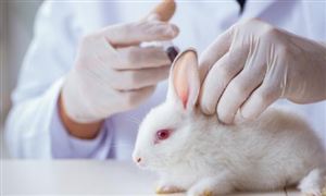 宠物医疗行业现状与发展趋势分析(2026年)