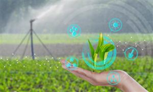 2026现代农业行业调研与市场规模、发展前景预测分析