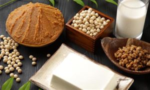 2026年全球植物基食品行业发展现状与趋势分析