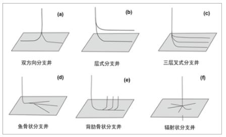 图表:分支井示意图