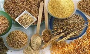 2021小麦加工行业发展现状及前景分析