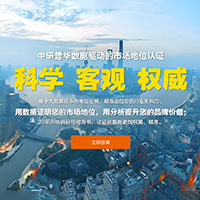 行业市场地位证明