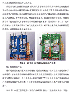 巨轮股份有限公司非公开发行A股股票预案
